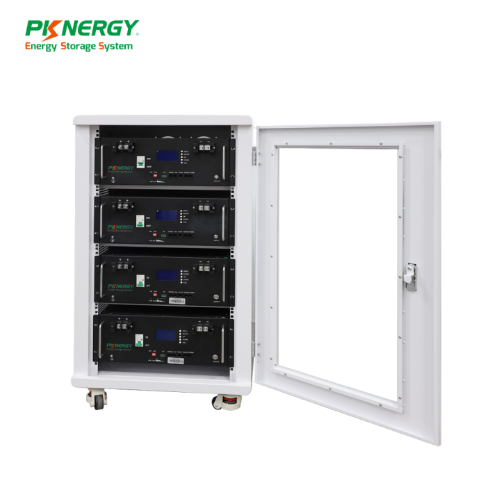 BUY 48V Server Rack Mounted Battery - PKNERGY