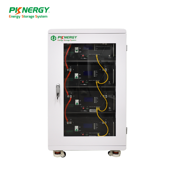 PKNERGY 3U 48V/51.2v 100Ah Server Rack Mounted Battery - PKNERGY