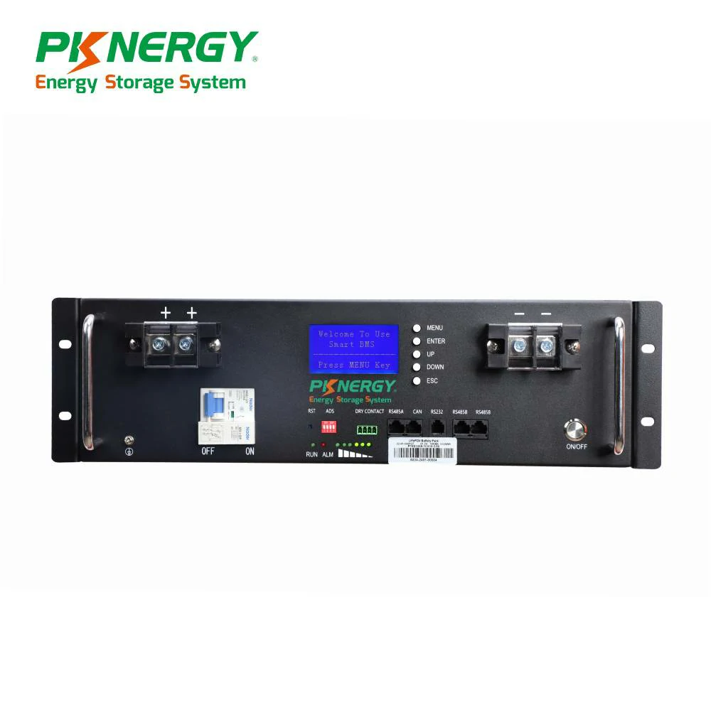 PKNERGY 3U 48V/51.2v 100Ah Server Rack Mounted Battery