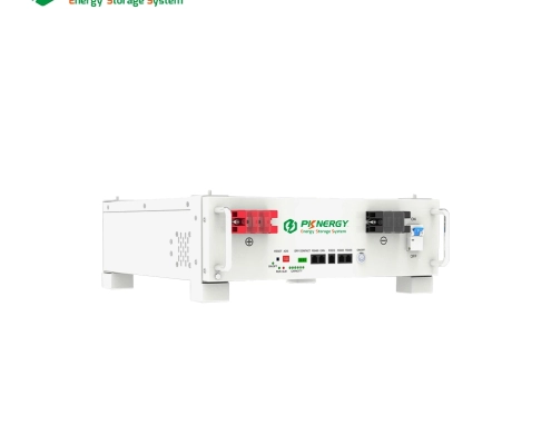 51.2V 100AH Rack Mount Battery - PKNERGY