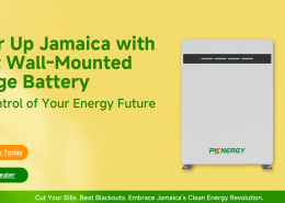 How to Lower Your Electricity Bills in Jamaica — A Homeowner's Guide to Solar + Battery Backup