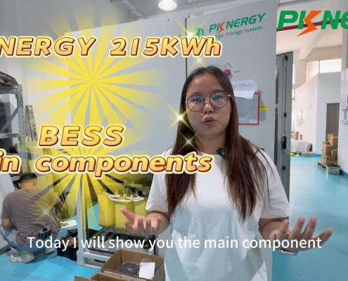 Unlocking Energy Efficiency: BESS Applications in Commercial and Industrial Sectors 2 Unlocking Energy Efficiency: BESS Applications in Commercial and Industrial Sectors